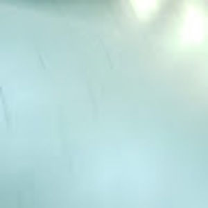 Meet your Posher, Readlwrm